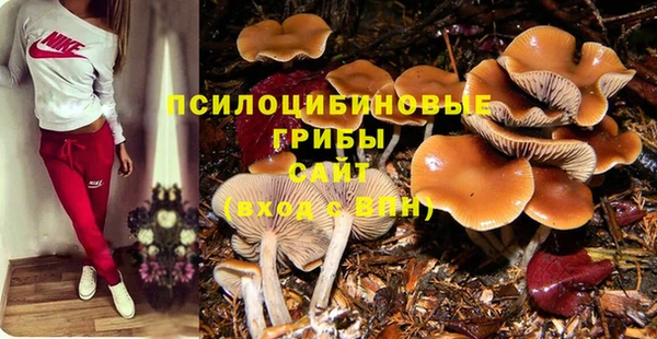 apvp Карталы