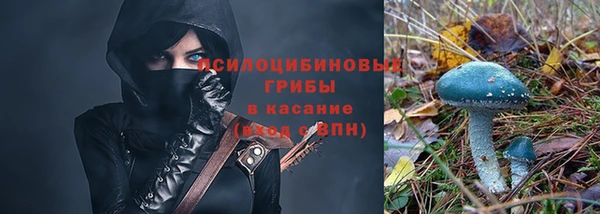 прущая мука Карпинск